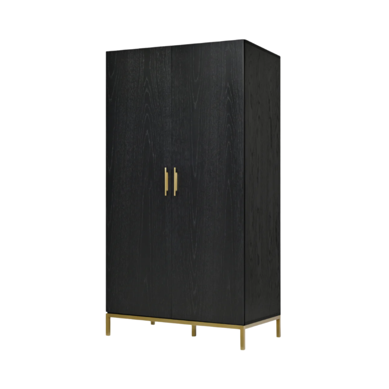 Twenty10 Designs Tulip 2 Door Wardrobe - Black - Angle View
